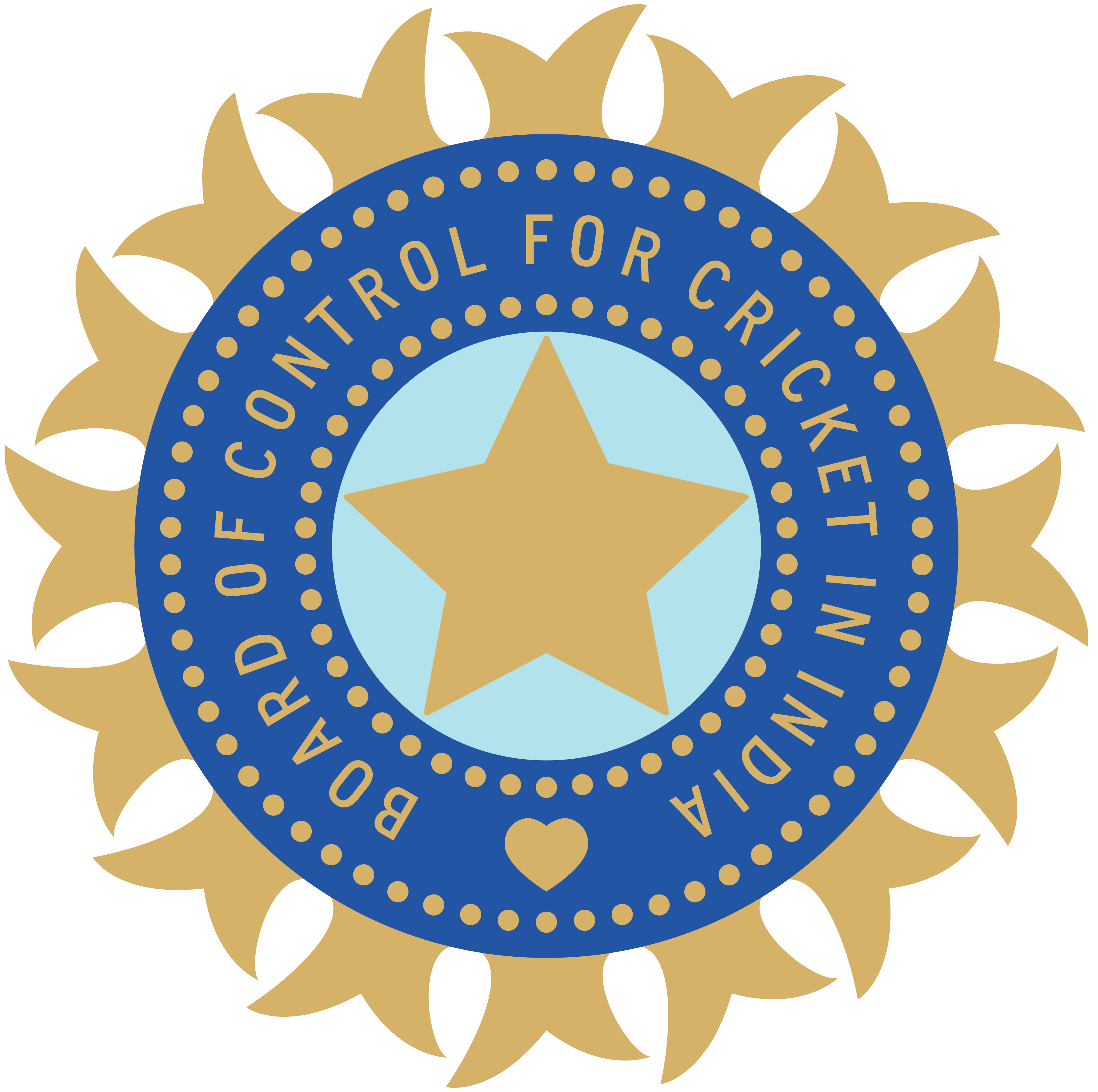 Vidarbha Cricket Association Nagpur 